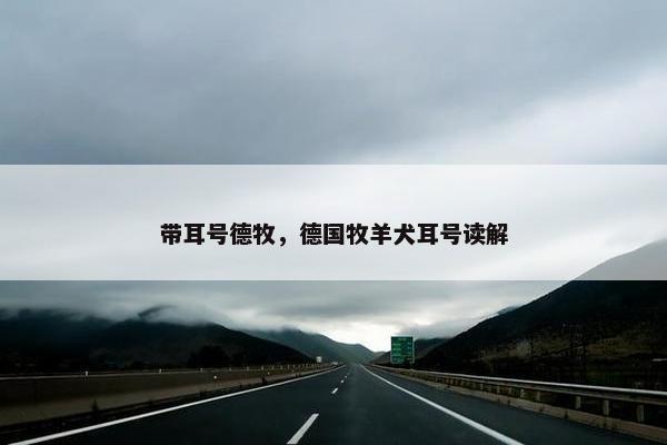 带耳号德牧，德国牧羊犬耳号读解