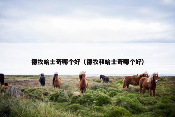 德牧哈士奇哪个好（德牧和哈士奇哪个好）