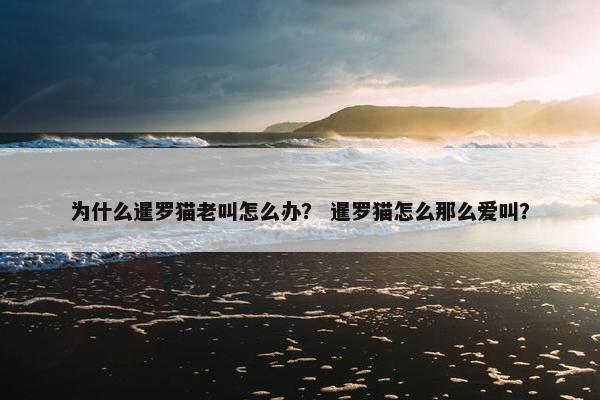 为什么暹罗猫老叫怎么办？ 暹罗猫怎么那么爱叫？