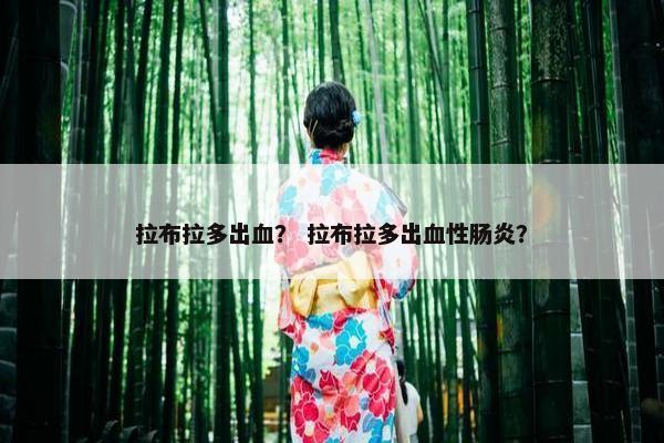 拉布拉多出血？ 拉布拉多出血性肠炎？