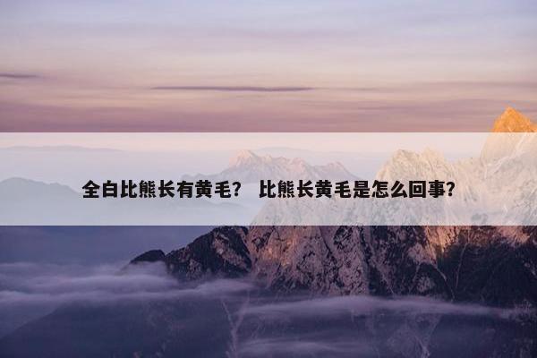 全白比熊长有黄毛？ 比熊长黄毛是怎么回事？