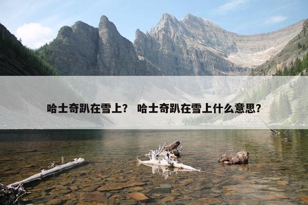 哈士奇趴在雪上？ 哈士奇趴在雪上什么意思？