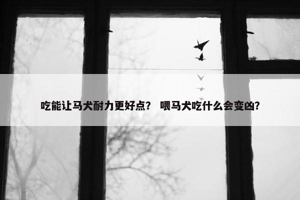 吃能让马犬耐力更好点？ 喂马犬吃什么会变凶？