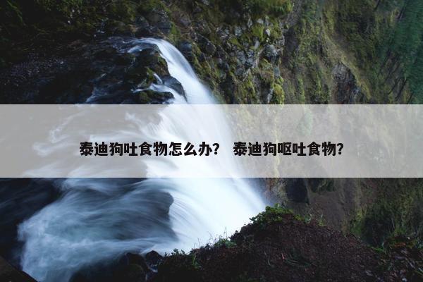 泰迪狗吐食物怎么办？ 泰迪狗呕吐食物？
