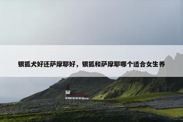 银狐犬好还萨摩耶好，银狐和萨摩耶哪个适合女生养