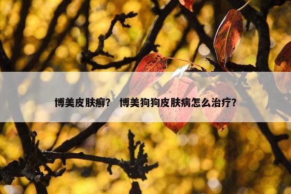 博美皮肤癣？ 博美狗狗皮肤病怎么治疗？