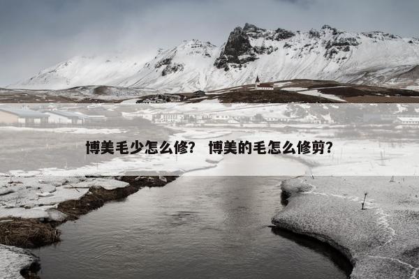 博美毛少怎么修？ 博美的毛怎么修剪？