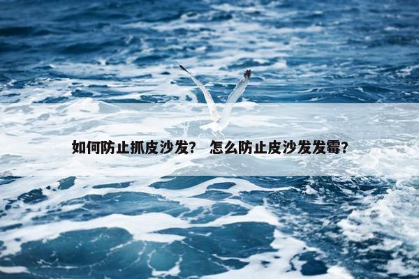 如何防止抓皮沙发？ 怎么防止皮沙发发霉？