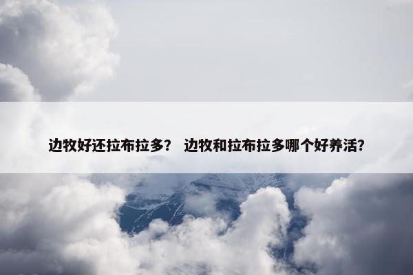 边牧好还拉布拉多？ 边牧和拉布拉多哪个好养活？