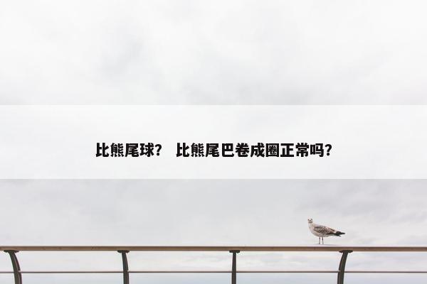 比熊尾球？ 比熊尾巴卷成圈正常吗？