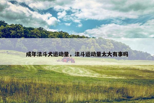 成年法斗犬运动量，法斗运动量太大有事吗