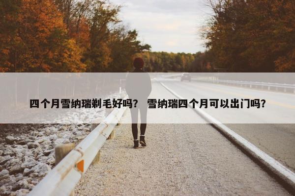 四个月雪纳瑞剃毛好吗？ 雪纳瑞四个月可以出门吗？
