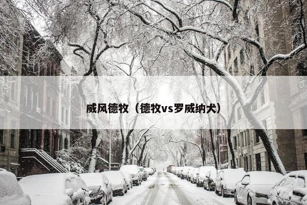 威风德牧（德牧vs罗威纳犬）