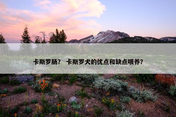 卡斯罗肠？ 卡斯罗犬的优点和缺点喂养？