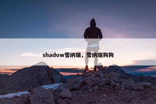 shadow雪纳瑞，雪纳瑞狗狗