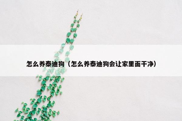 怎么养泰迪狗（怎么养泰迪狗会让家里面干净）