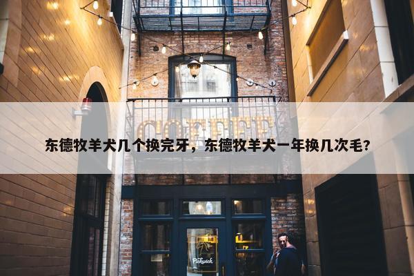 东德牧羊犬几个换完牙，东德牧羊犬一年换几次毛?