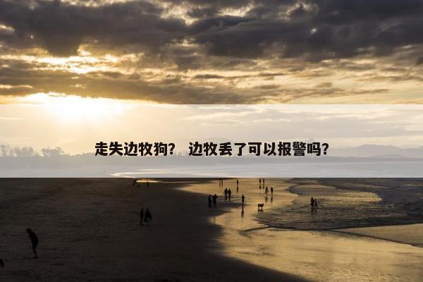 走失边牧狗？ 边牧丢了可以报警吗？