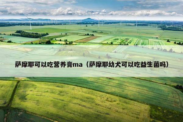 萨摩耶可以吃营养膏ma（萨摩耶幼犬可以吃益生菌吗）