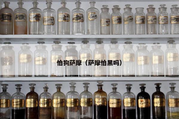 怕狗萨摩（萨摩怕黑吗）