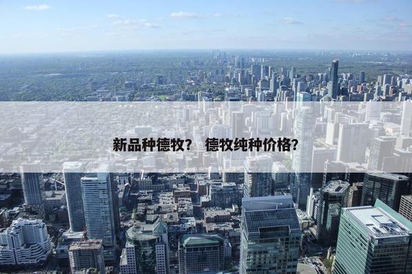 新品种德牧？ 德牧纯种价格？