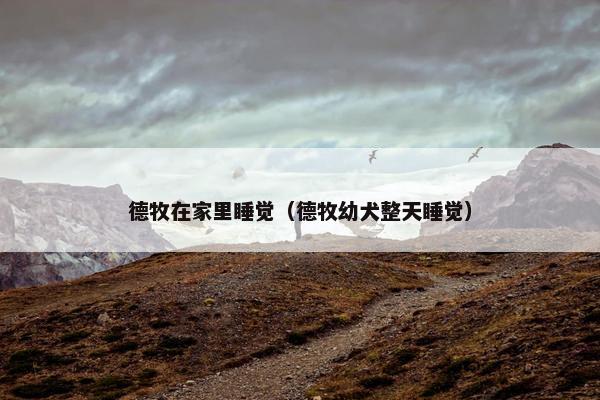 德牧在家里睡觉（德牧幼犬整天睡觉）