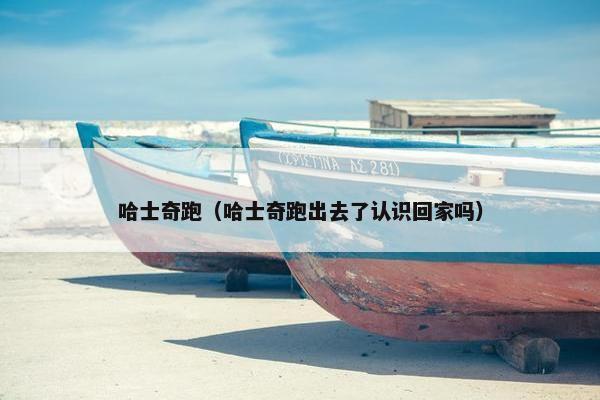 哈士奇跑（哈士奇跑出去了认识回家吗）
