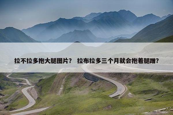 拉不拉多抱大腿图片？ 拉布拉多三个月就会抱着腿蹭？
