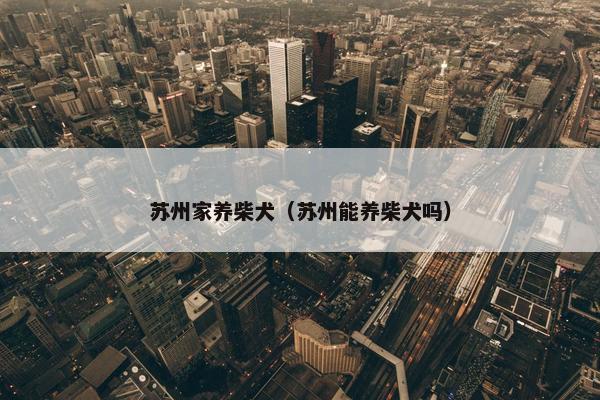 苏州家养柴犬（苏州能养柴犬吗）