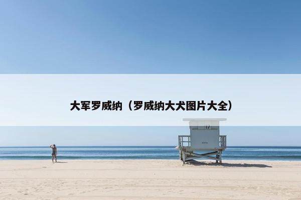 护卫