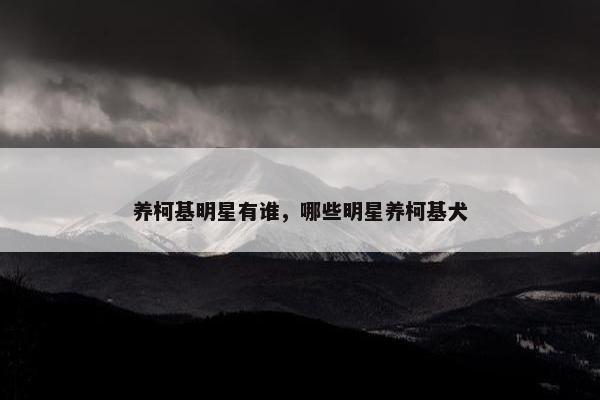 养柯基明星有谁，哪些明星养柯基犬
