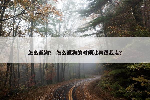 怎么遛狗？ 怎么遛狗的时候让狗跟我走？
