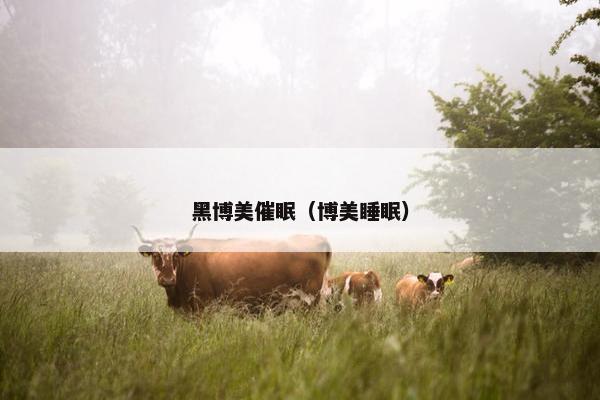 黑博美催眠（博美睡眠）