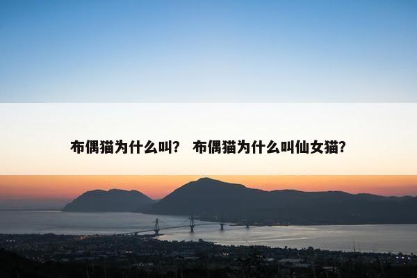 布偶猫为什么叫？ 布偶猫为什么叫仙女猫？