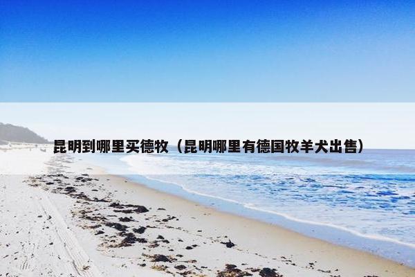 昆明到哪里买德牧（昆明哪里有德国牧羊犬出售）