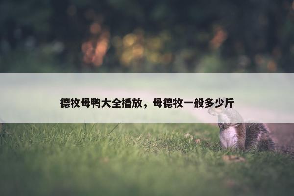 德牧母鸭大全播放，母德牧一般多少斤
