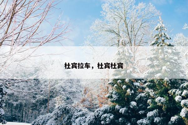 杜宾拉车，杜宾杜宾