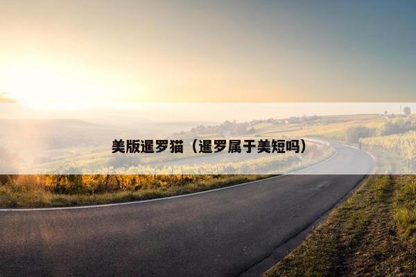 美版暹罗猫（暹罗属于美短吗）