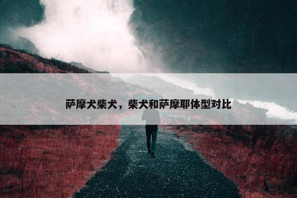 萨摩犬柴犬，柴犬和萨摩耶体型对比