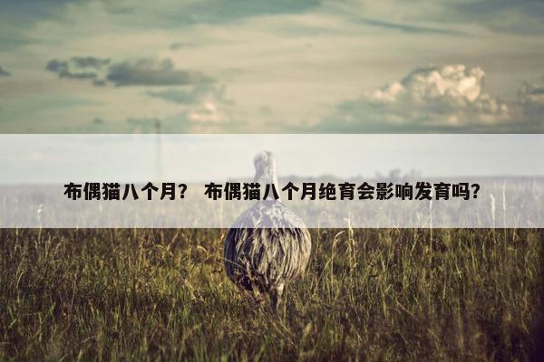 布偶猫八个月？ 布偶猫八个月绝育会影响发育吗？