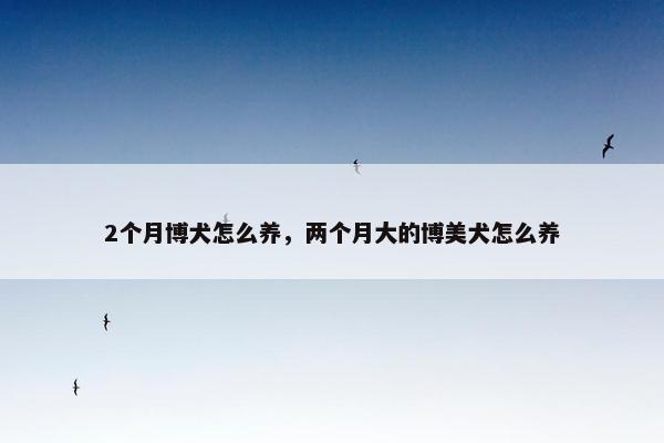 2个月博犬怎么养，两个月大的博美犬怎么养