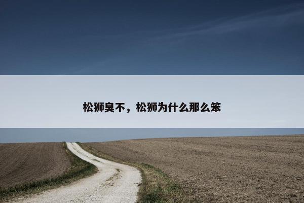 松狮臭不，松狮为什么那么笨