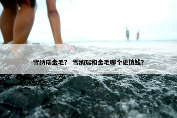 雪纳瑞金毛？ 雪纳瑞和金毛哪个更值钱？