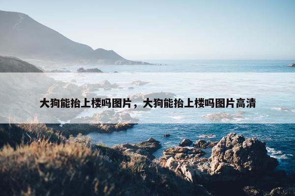 大狗能抬上楼吗图片，大狗能抬上楼吗图片高清