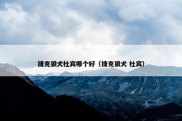 捷克狼犬杜宾哪个好（捷克狼犬 杜宾）