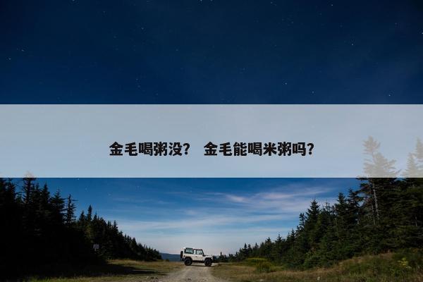 金毛喝粥没？ 金毛能喝米粥吗？