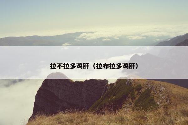 拉不拉多鸡肝（拉布拉多鸡肝）