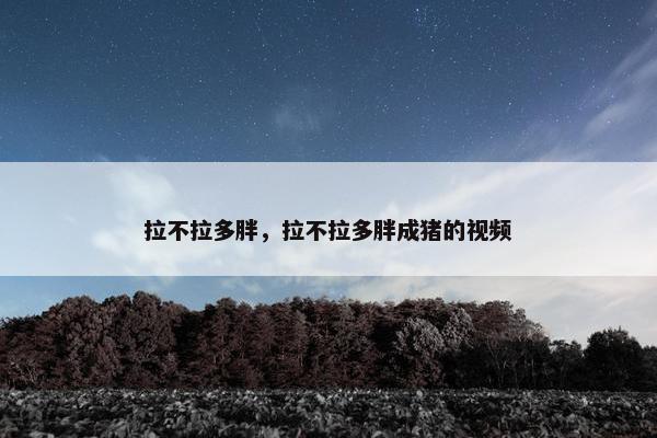 拉不拉多胖，拉不拉多胖成猪的视频
