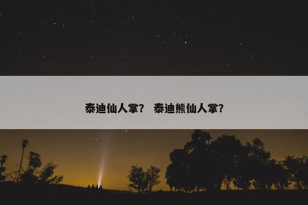 泰迪仙人掌？ 泰迪熊仙人掌？