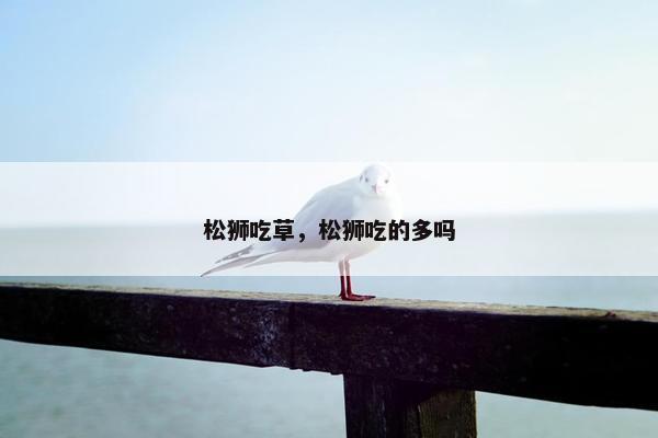 松狮吃草，松狮吃的多吗
